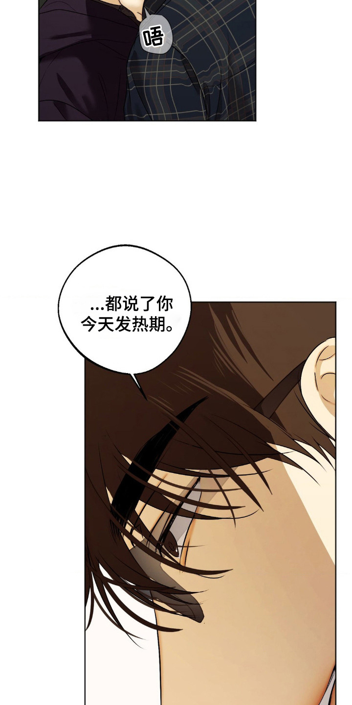 第7话：第7章：按规矩来预览分镜