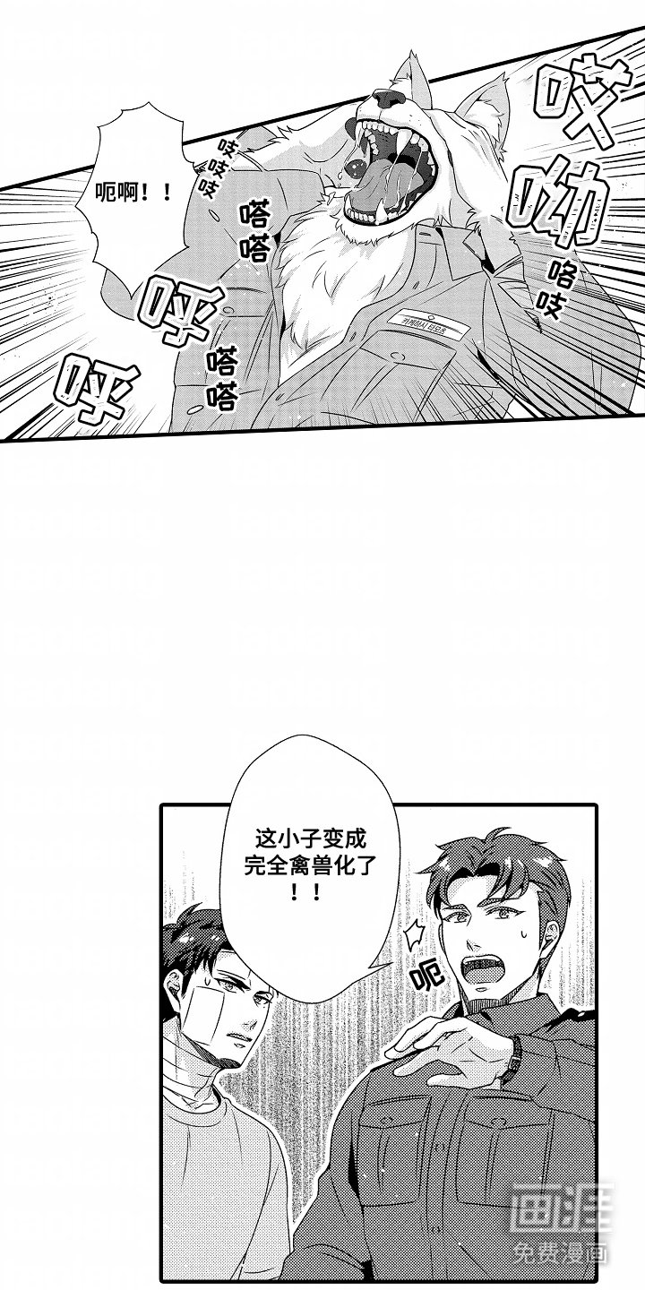 第6话：第6章：保证身体预览分镜