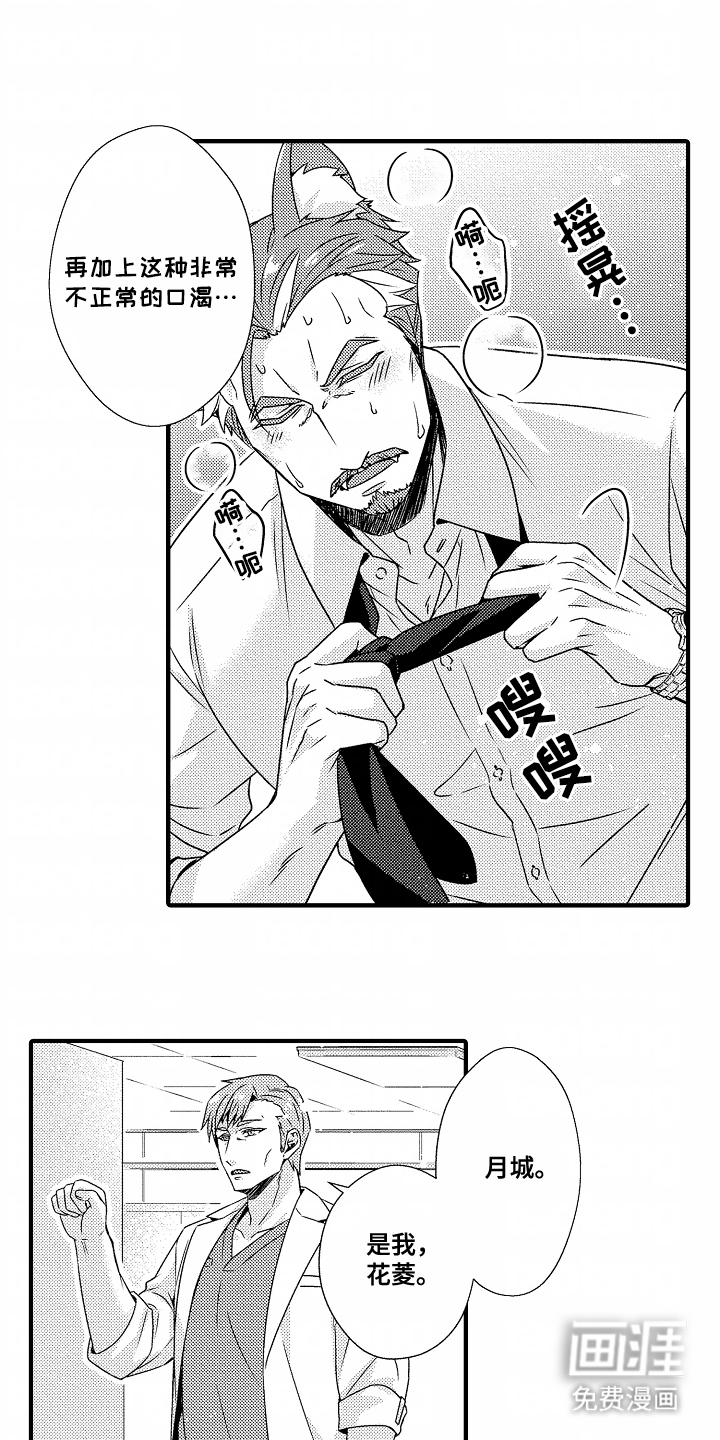 第10话：第10章：稳定预览分镜