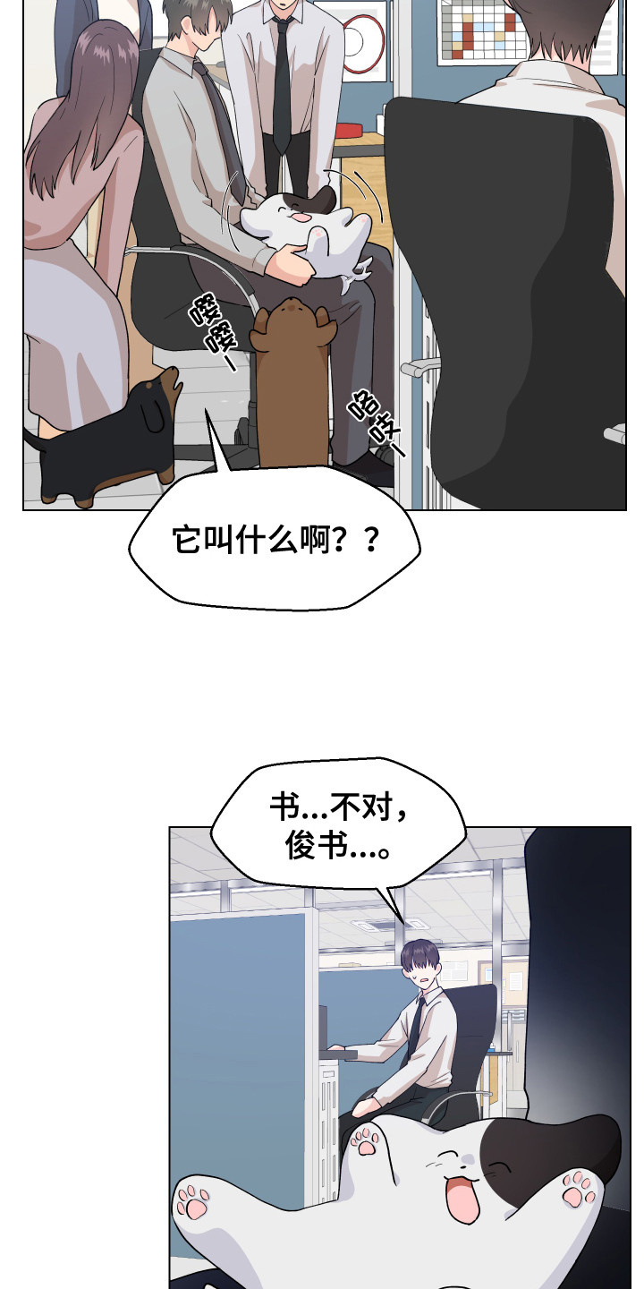 第6话：很可爱预览分镜