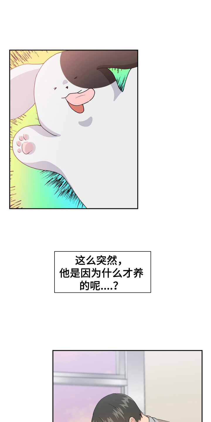 第13话：变回来了预览分镜