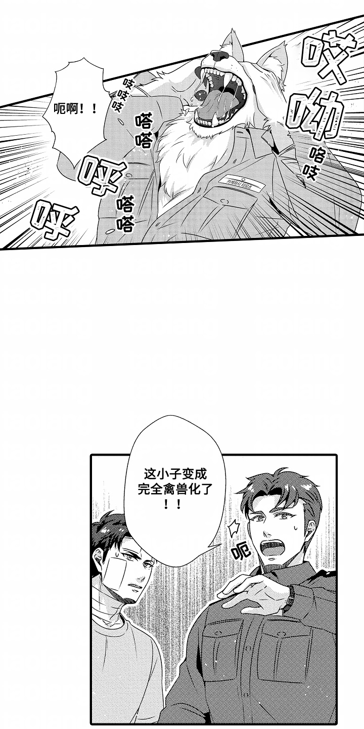 第6话：第6章：保证身体预览分镜