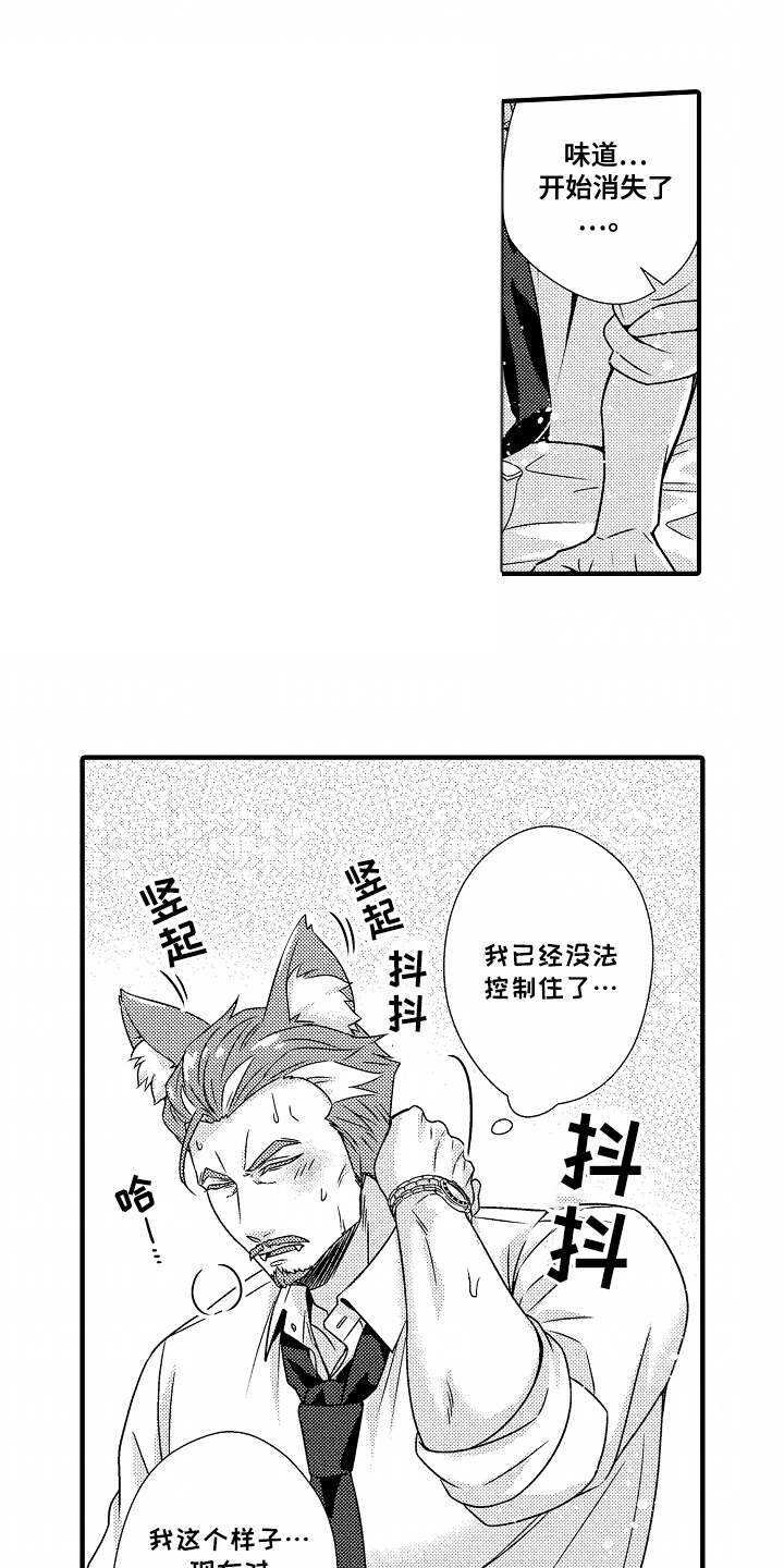 第10话：第10章：稳定预览分镜