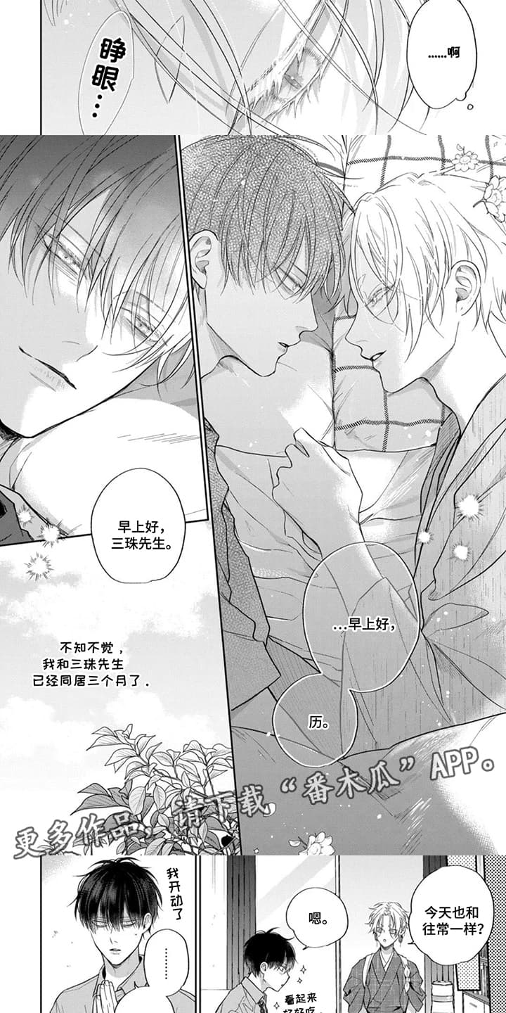 第5话：第5章：新的机会预览分镜