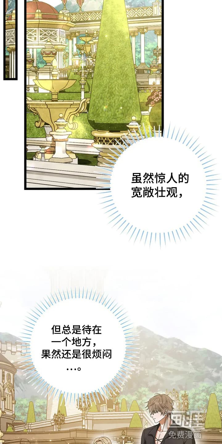 第15话：第15章：野餐预览分镜