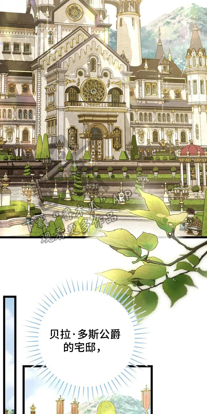 第15章:野餐