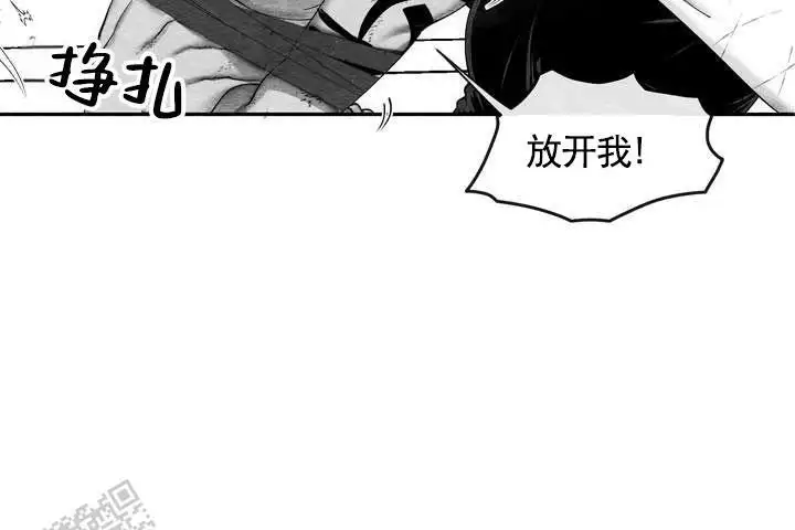 逆观光3