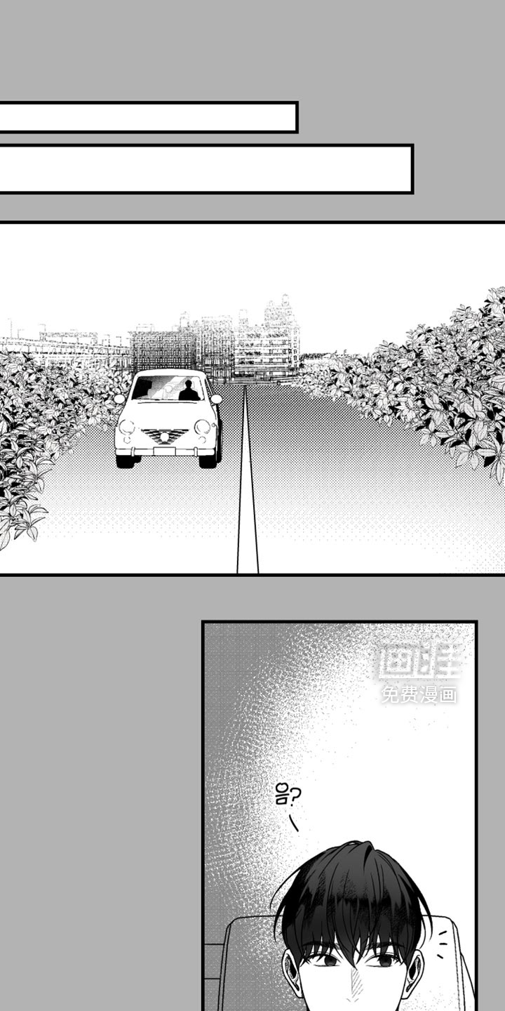 第21章:错觉