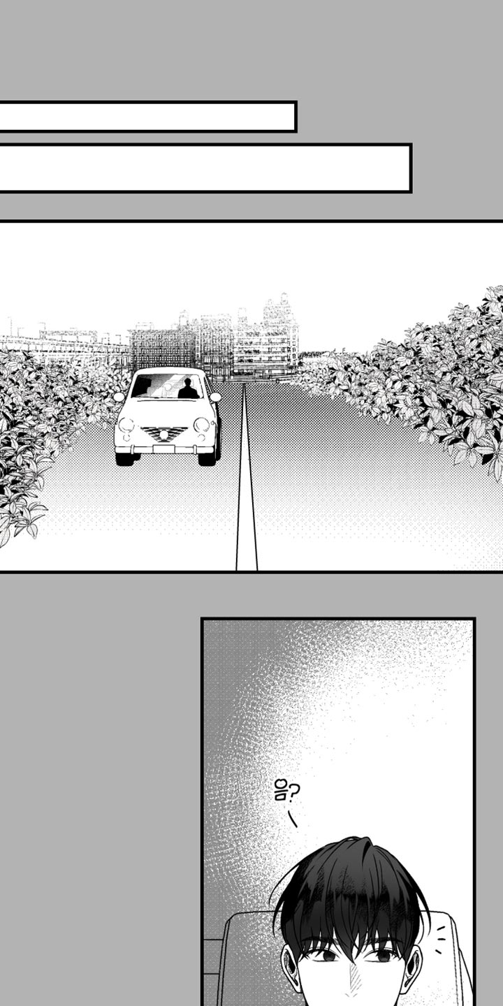 第21章:错觉