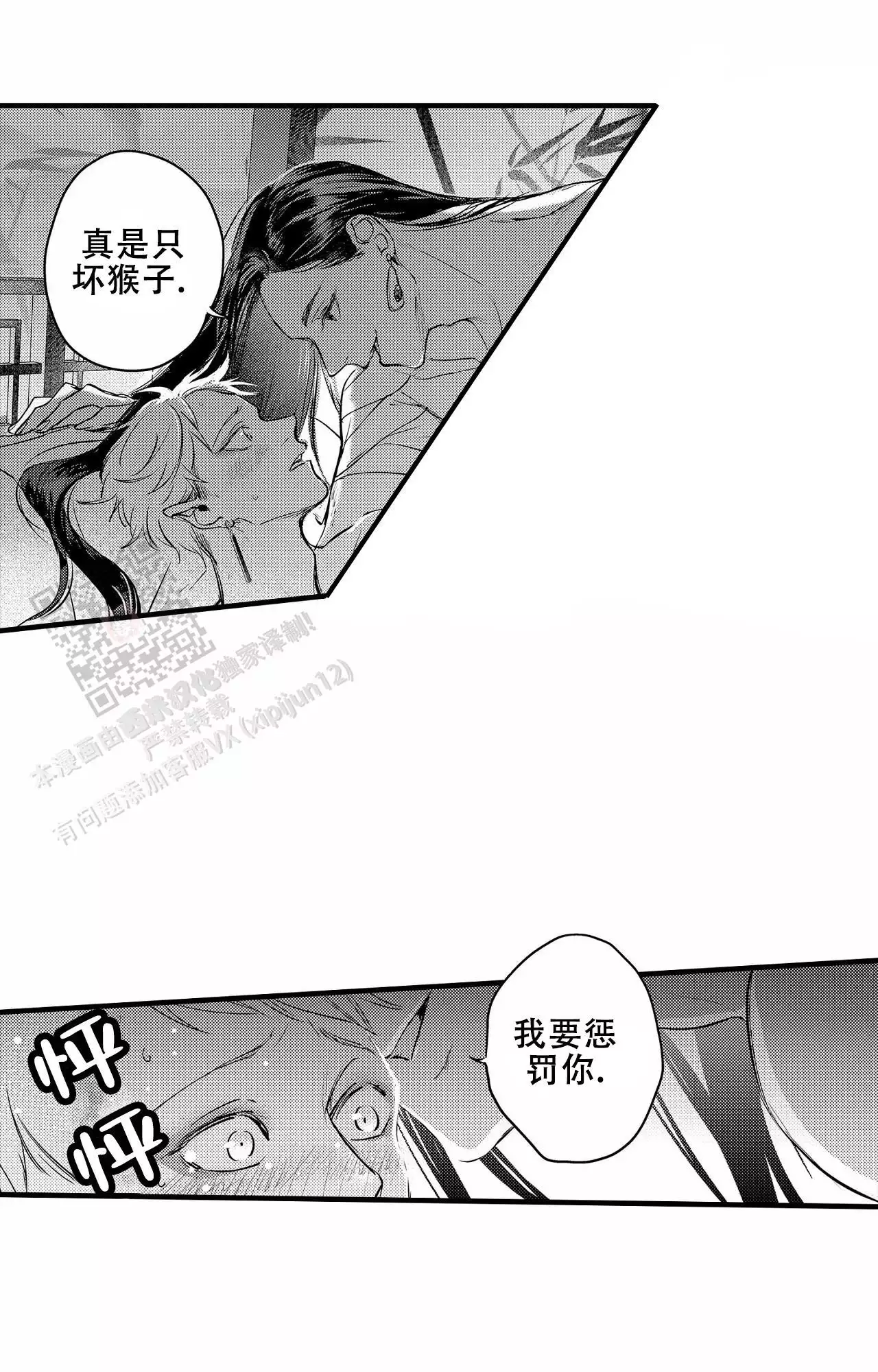 天竺兰!(完结)