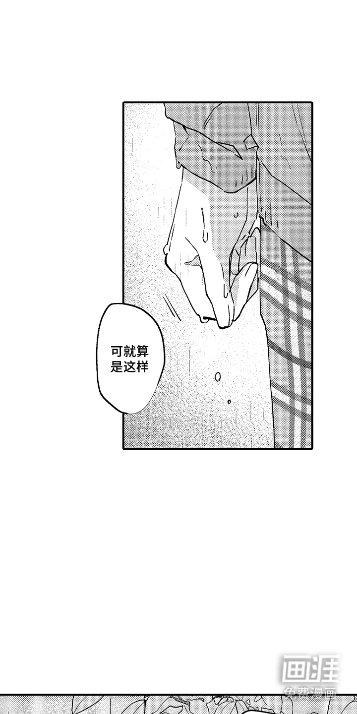 第17话：第17章：一辈子的愿望预览分镜