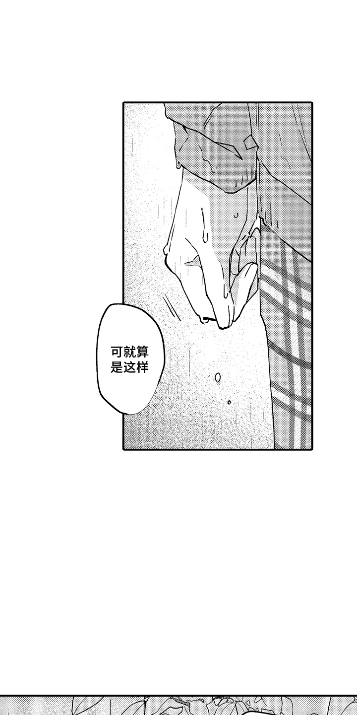 第17话：第17章：一辈子的愿望预览分镜