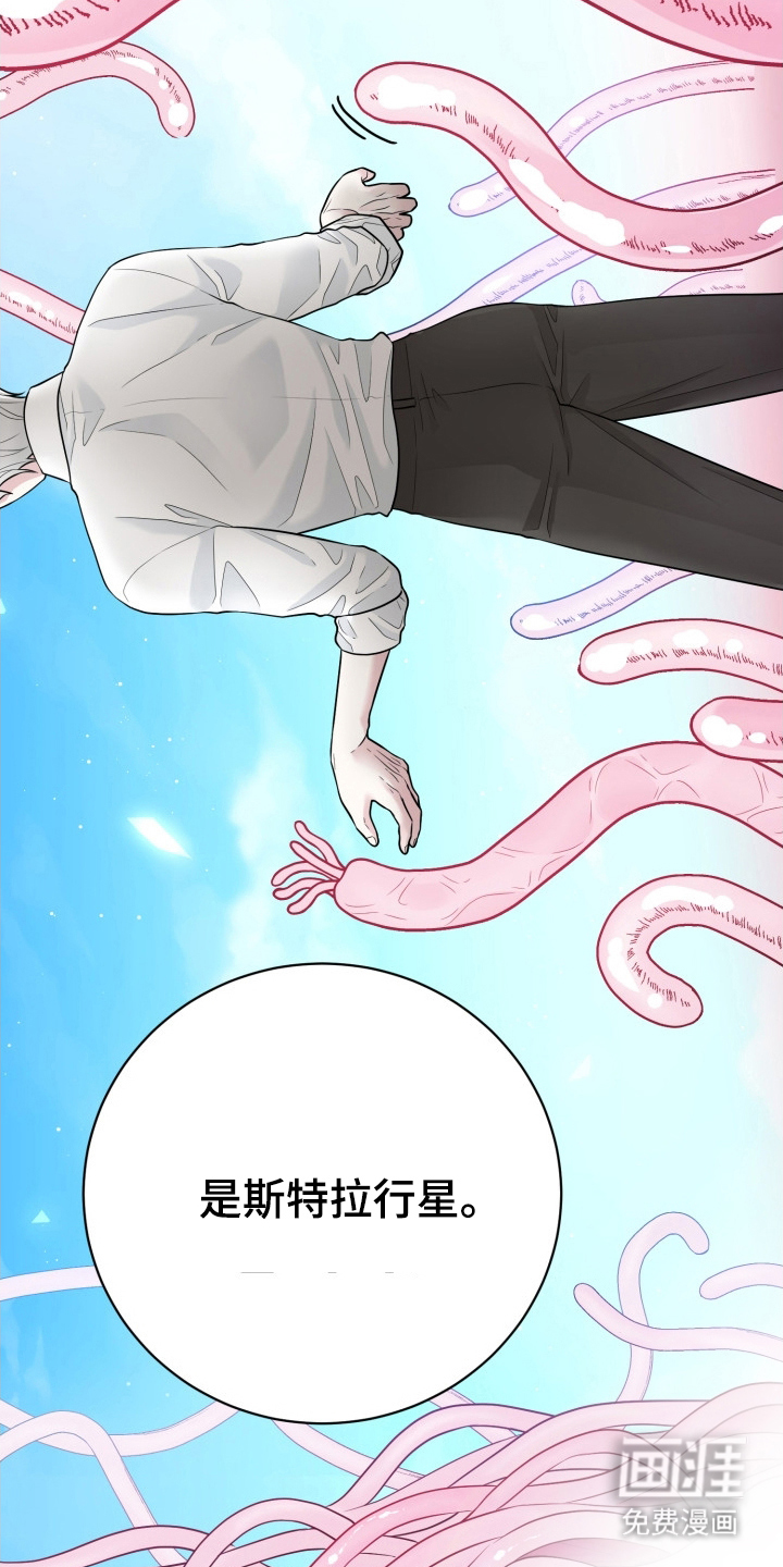 第6话：第6章：迷人的面孔预览分镜
