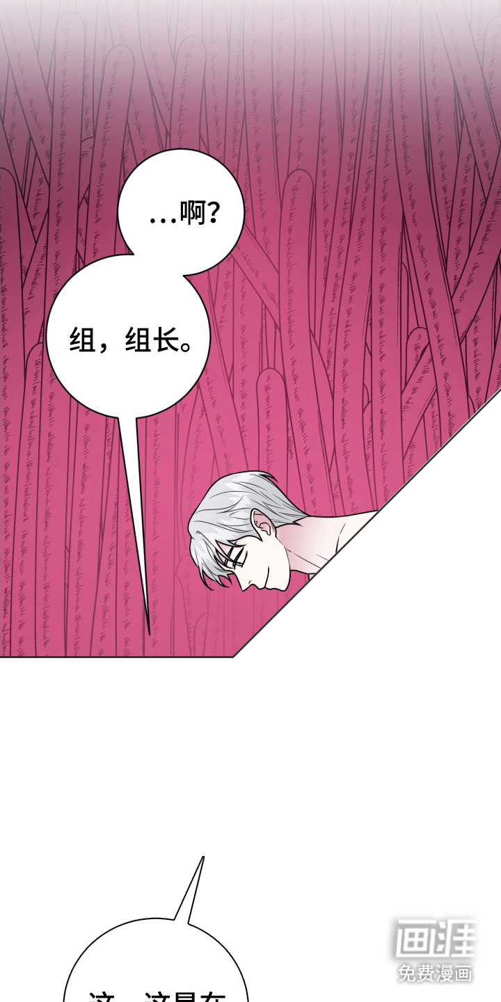 第16话：第16章：我爱你（完结）预览分镜