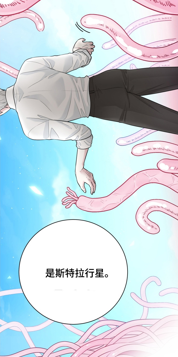 第6话：第6章：迷人的面孔预览分镜