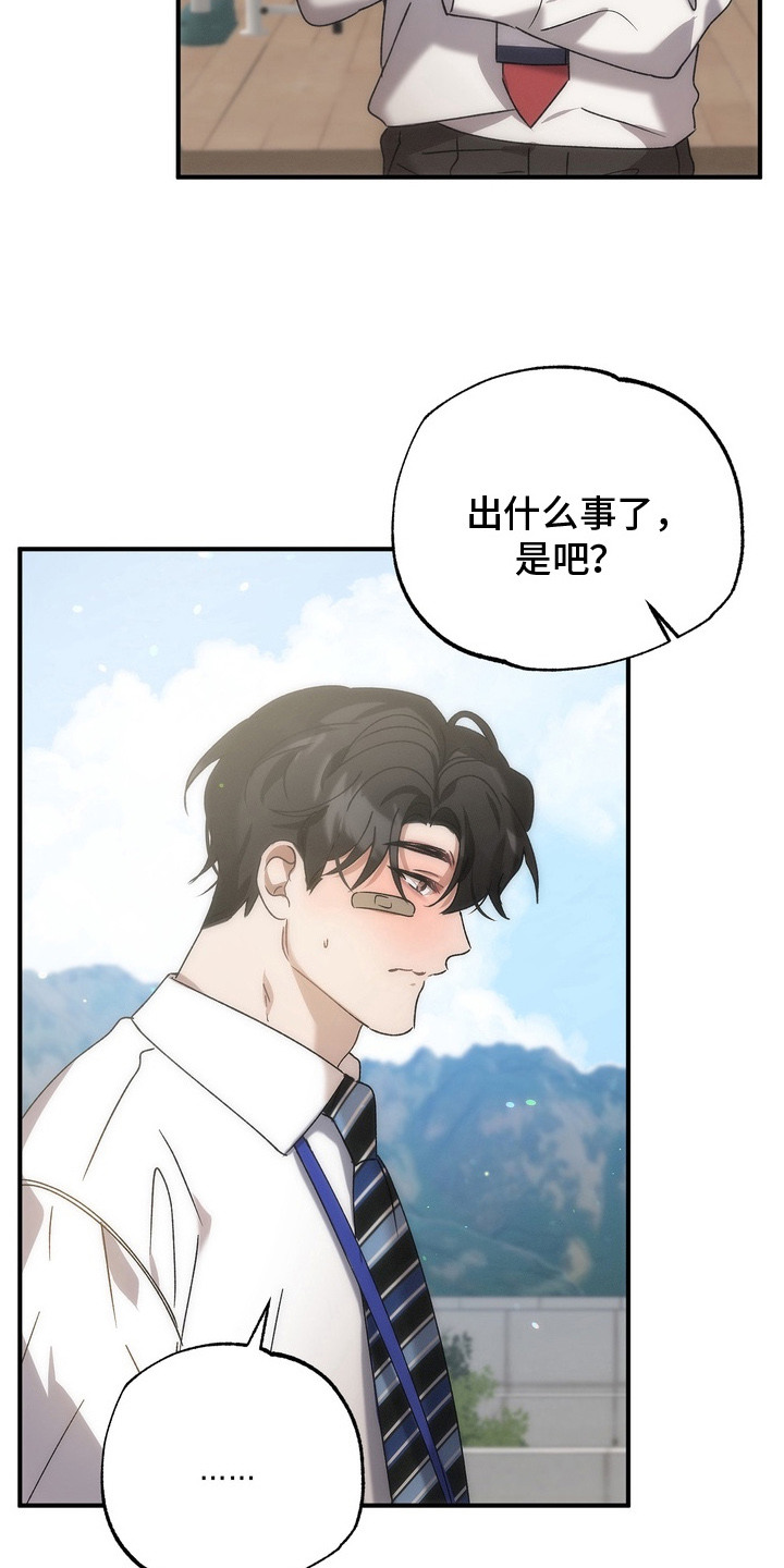 第11话：第11章：很在意预览分镜