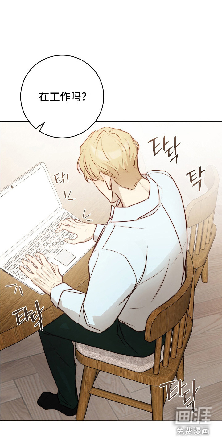 第15话：第15章：条款预览分镜
