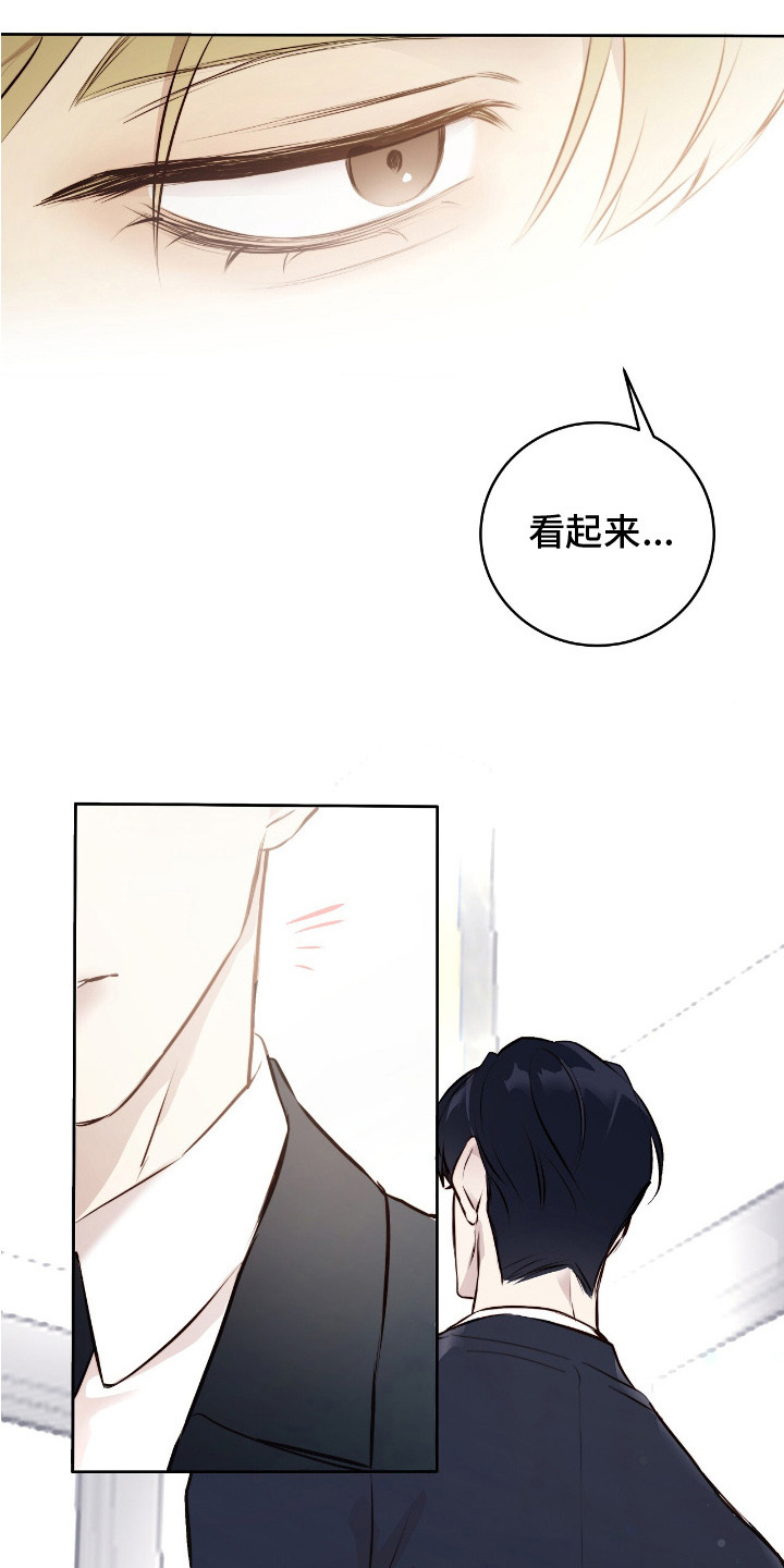 第5话：第5章：相处愉快预览分镜