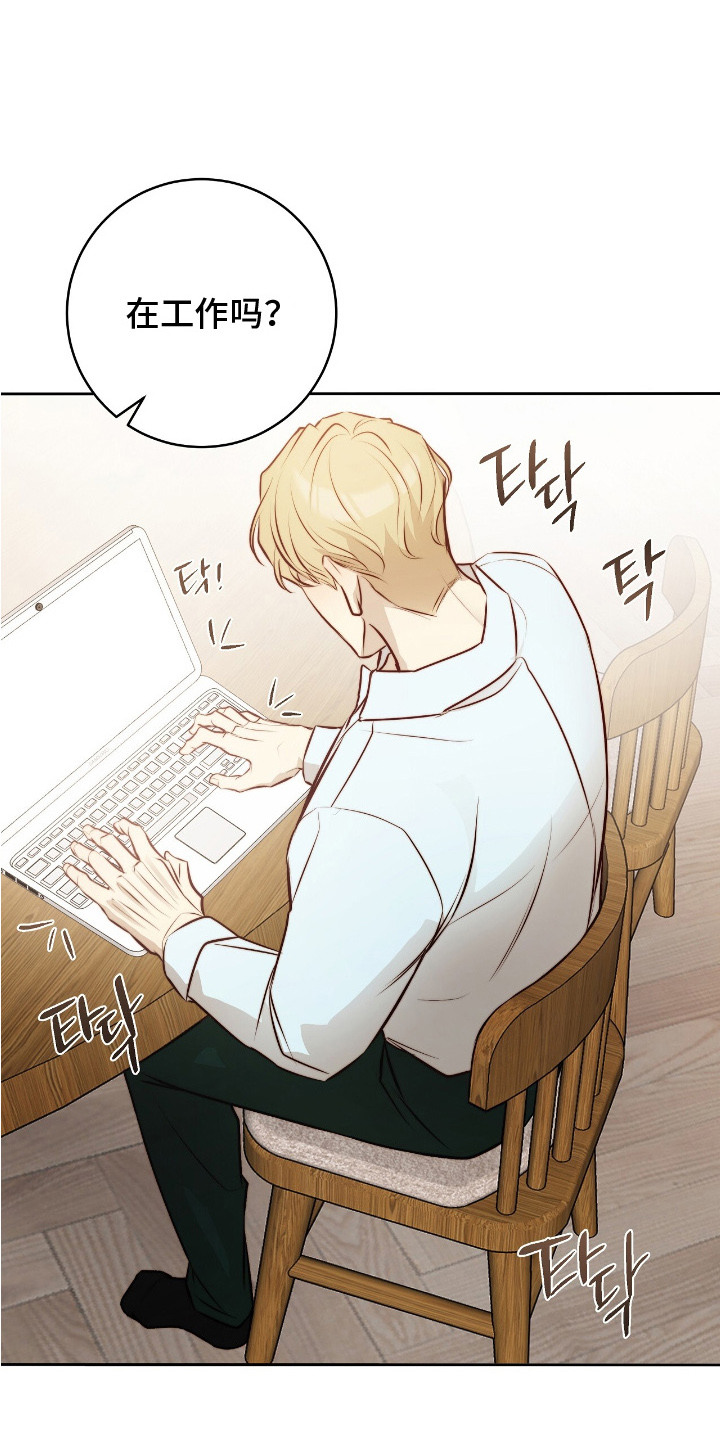 第15话：第15章：条款预览分镜