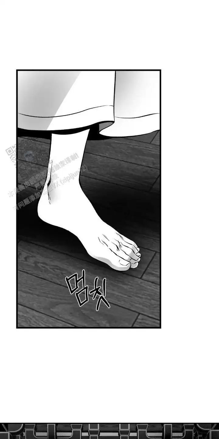 轮回(完结)