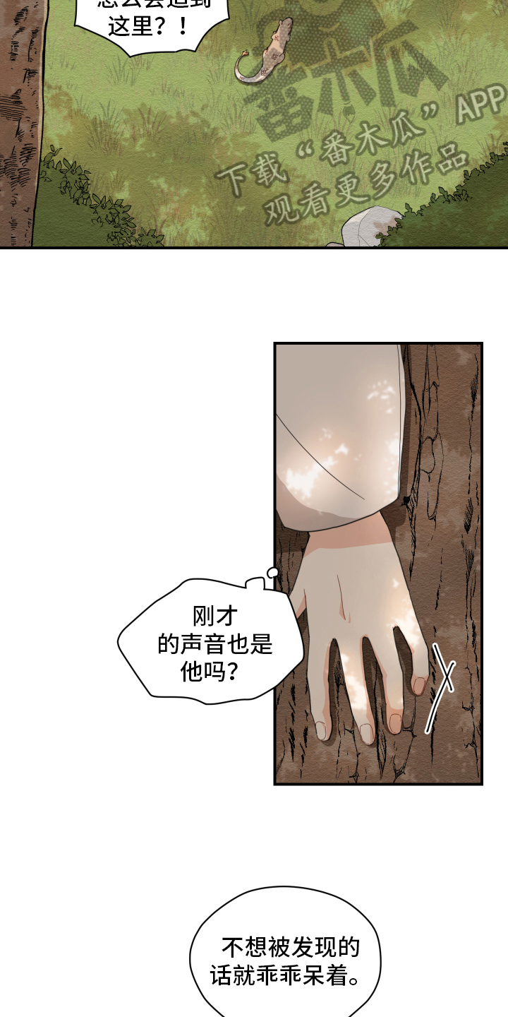 第4话：龙预览分镜