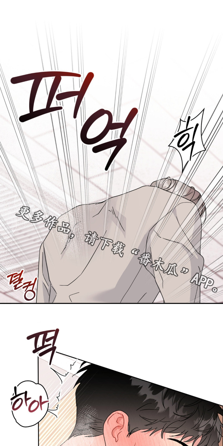 第38章：回来了