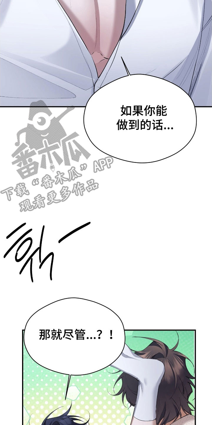 第47章:打算这样