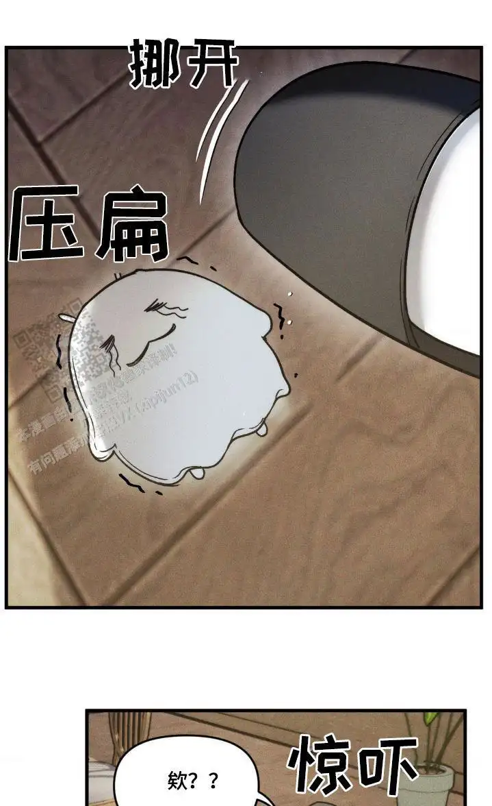 是什么东西