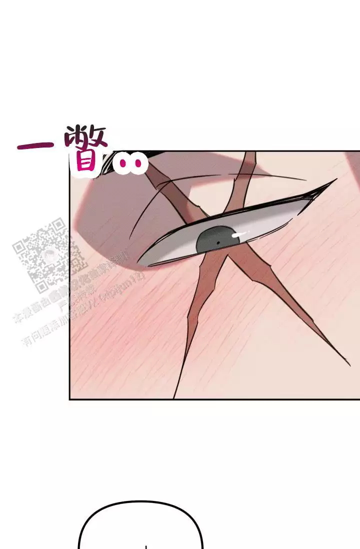 外传（10）