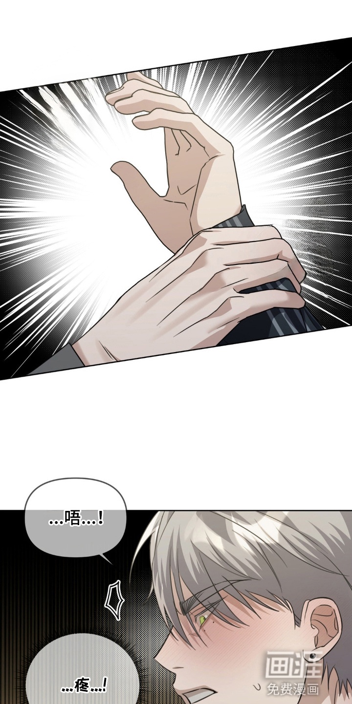 第3章:再次见面