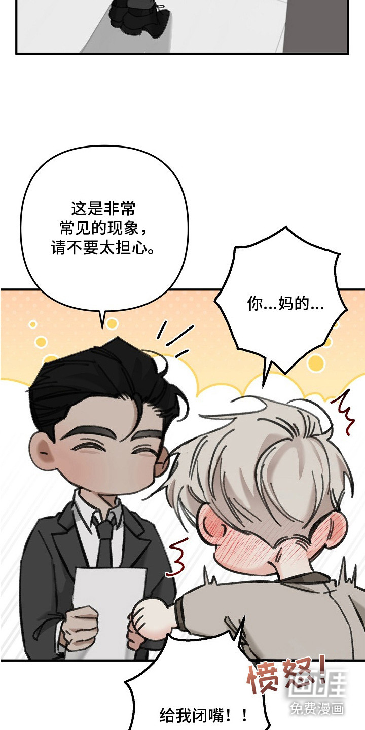 第3话：第3章：亲自解决预览分镜