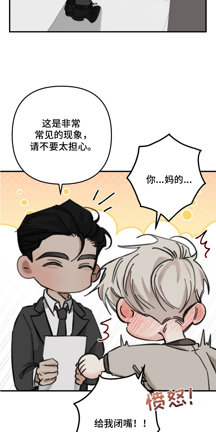 第3话：第3章：亲自解决预览分镜