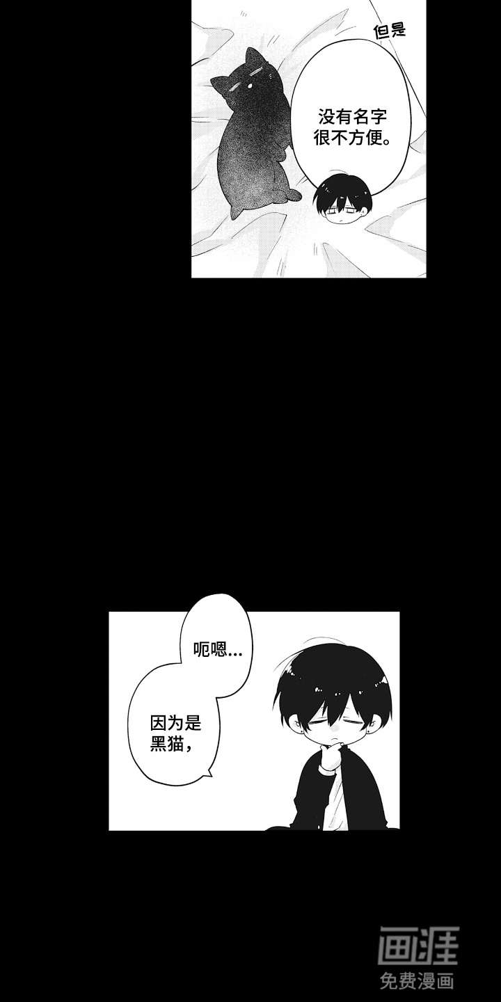 第18话：第18章：变故预览分镜