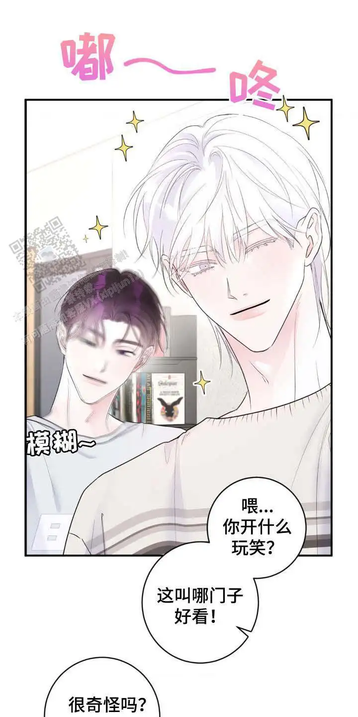 不是这样的