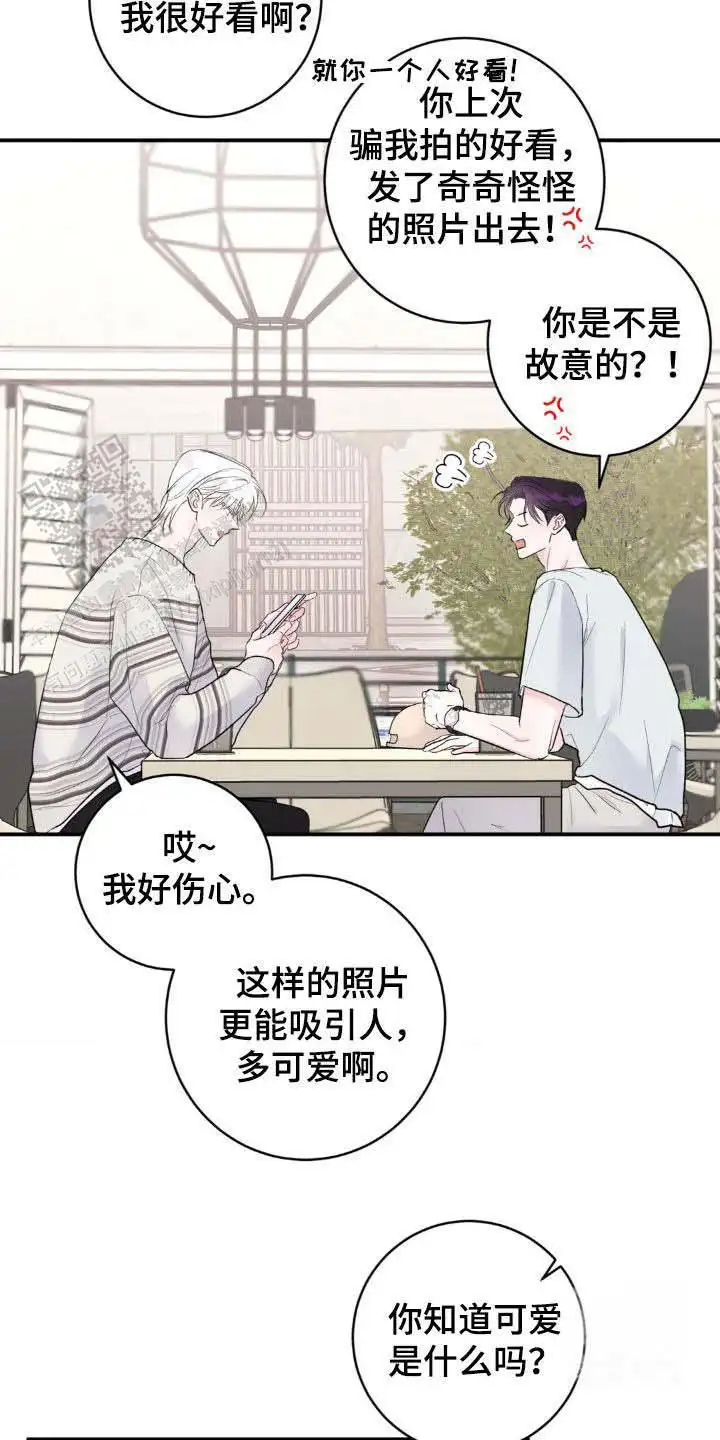 不是这样的