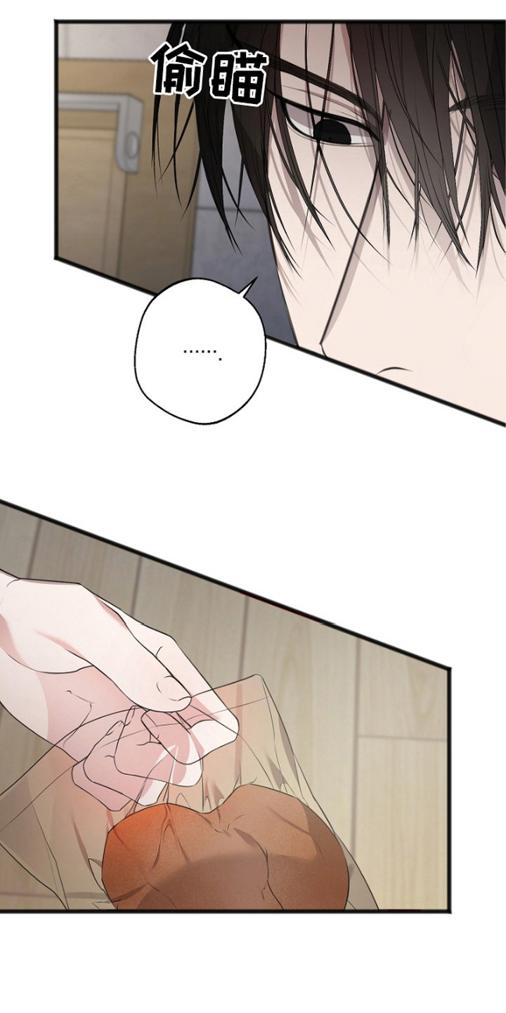 第5话：第5章：回想预览分镜