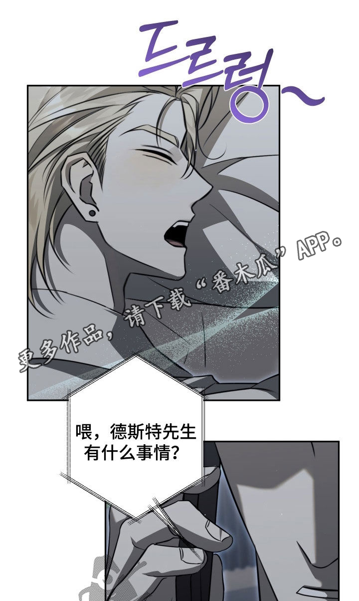 第27章:我们是朋友