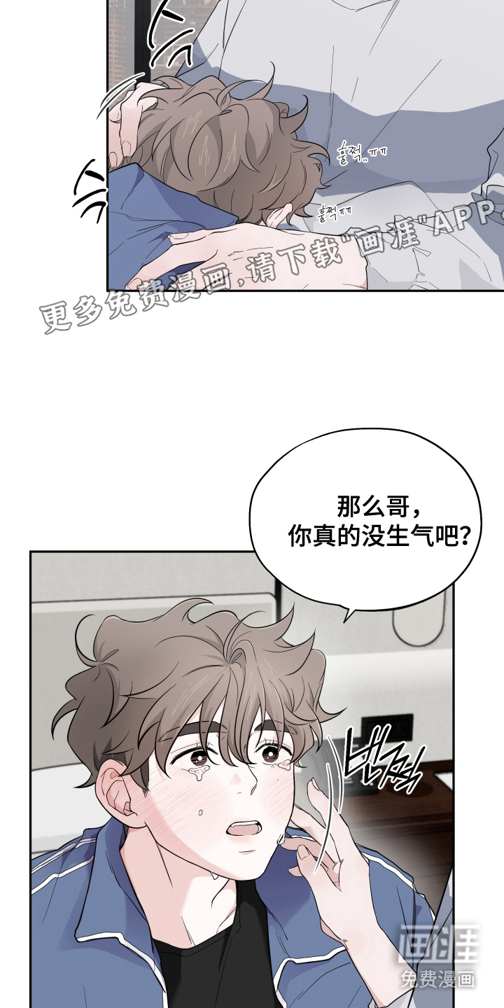 第19章:专用抑制剂