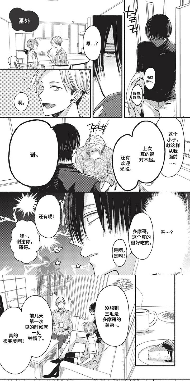 第17章:【番外】哥哥