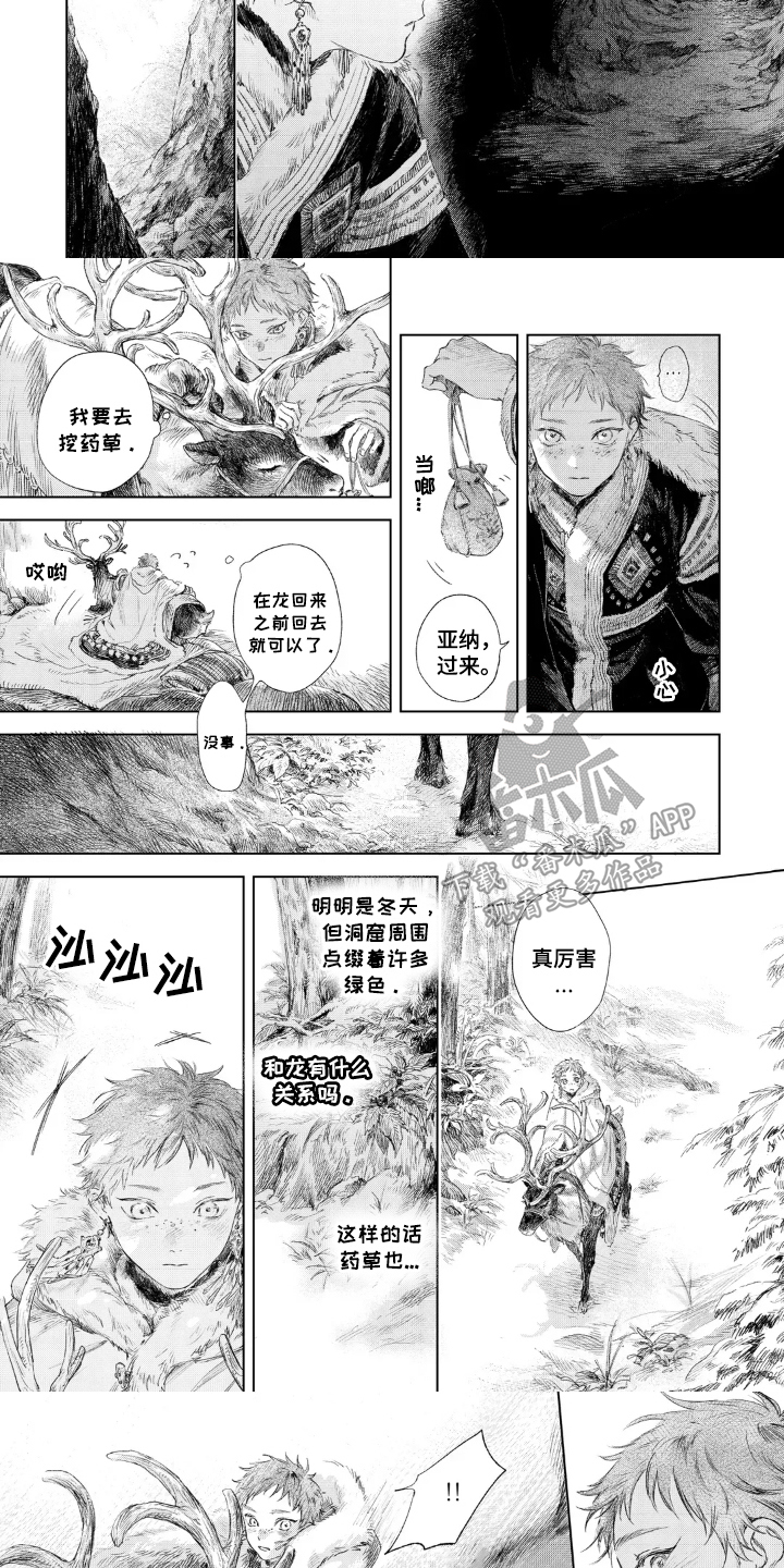 第3话：第3章：药草预览分镜