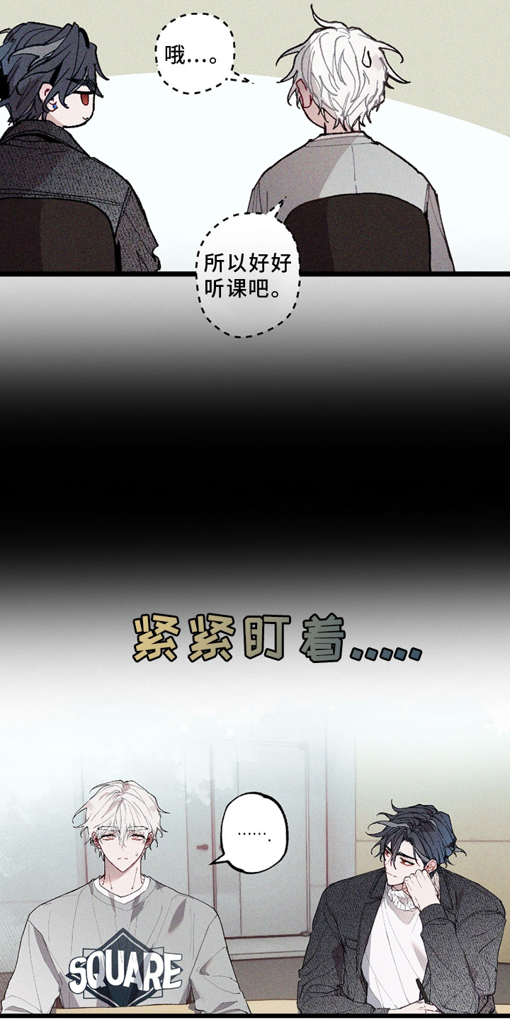 第6话：第6章：挡箭牌预览分镜