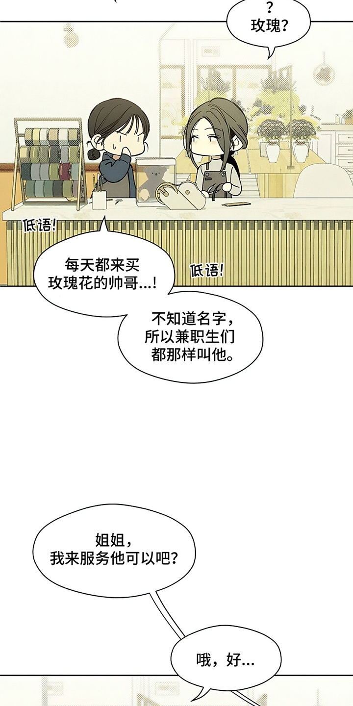 第4话：第4章：玫瑰预览分镜