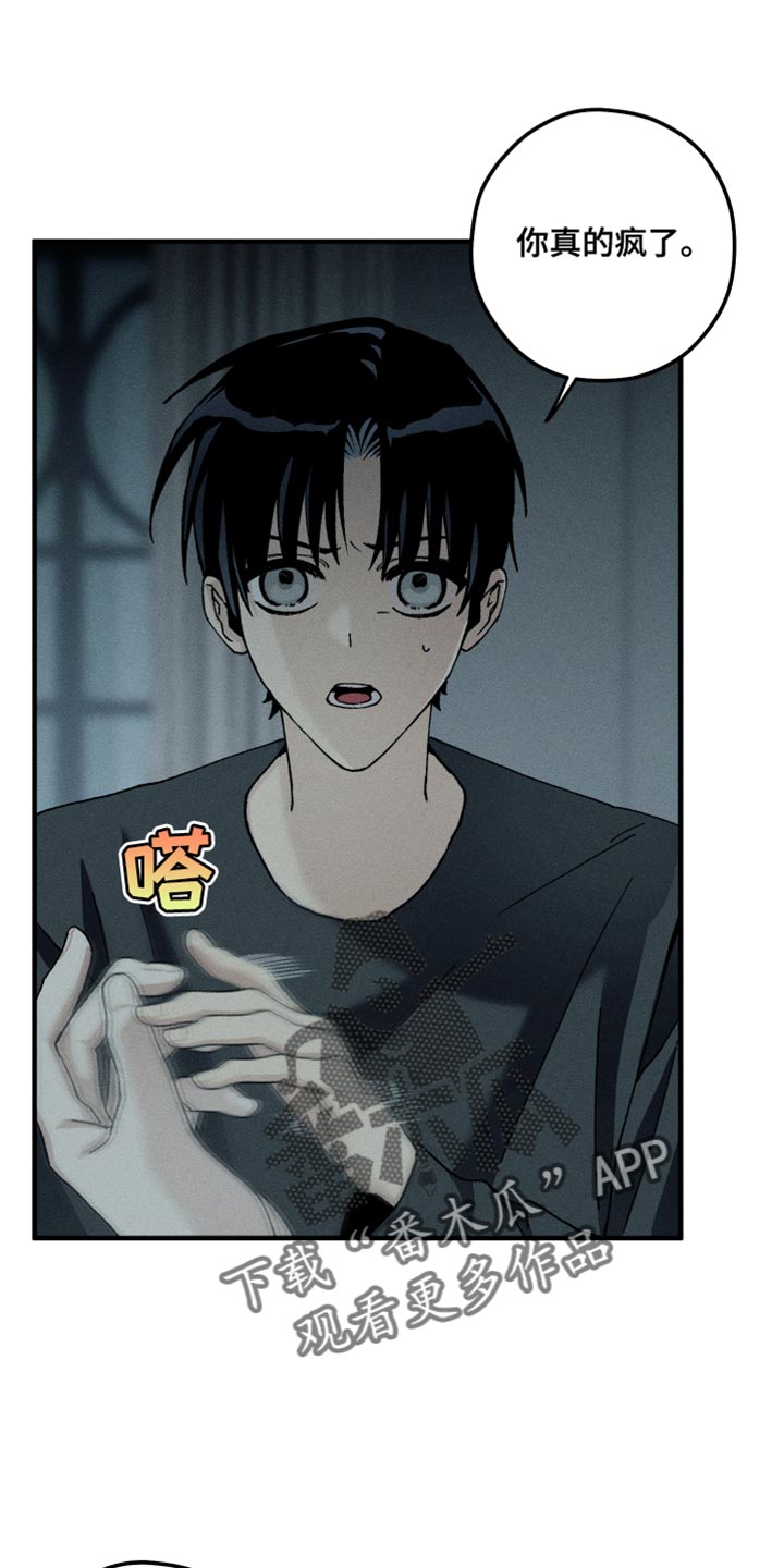 第21章:看起来很亲切