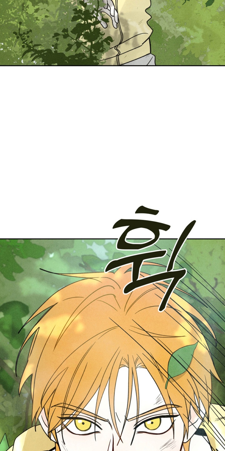 第1话：第1章：这是哪里预览分镜