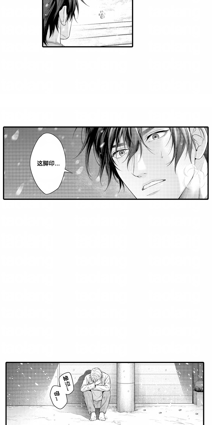 第16话：第16章：解释预览分镜