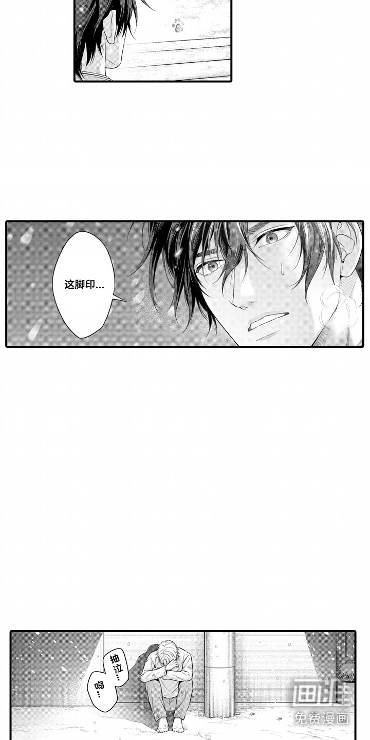 第13话：第13章：解释预览分镜
