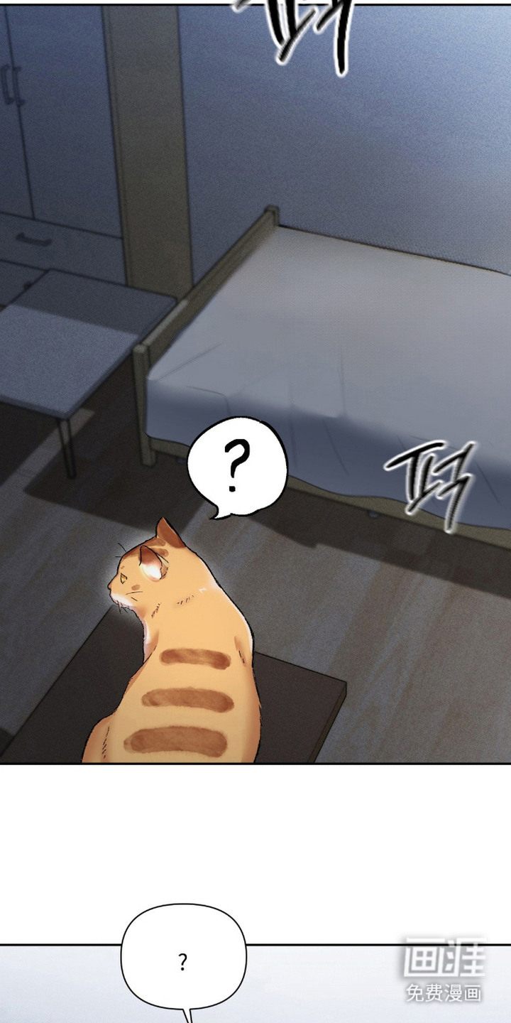 第20章:声音