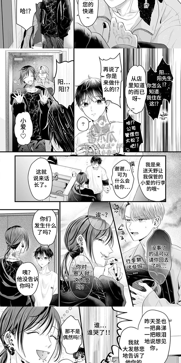 第15话：第15章：很有趣预览分镜