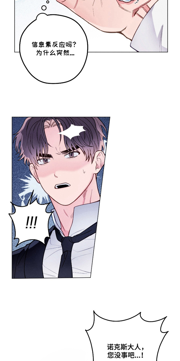 第5话：第5章：身体检查预览分镜