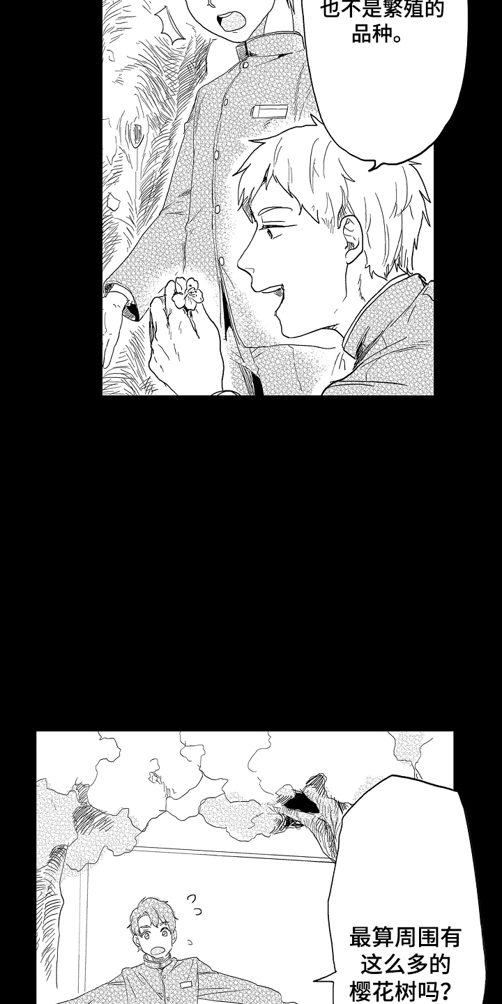 第8话：第8章：毕竟特别预览分镜